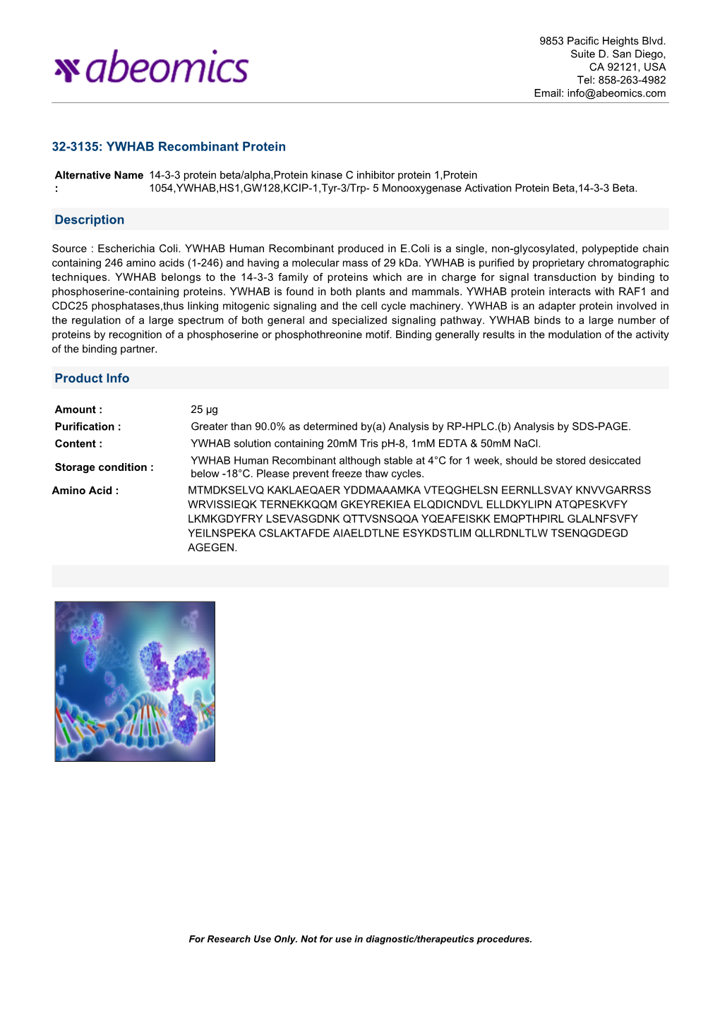 YWHAB Recombinant Protein Description Product Info