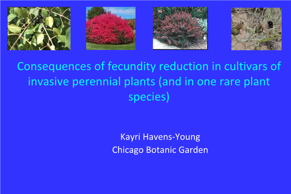 Consequences of Fecundity Reduction in Cultivars of Invasive Perennial Plants (And in One Rare Plant Species)