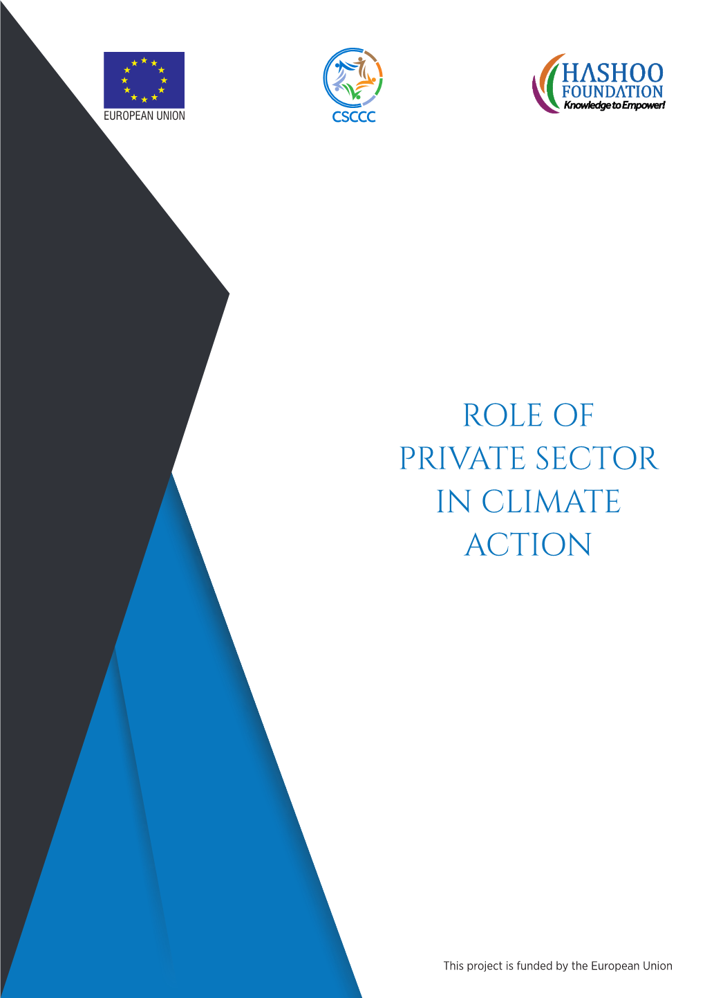 Role of Private Sector in Climate Action 2019