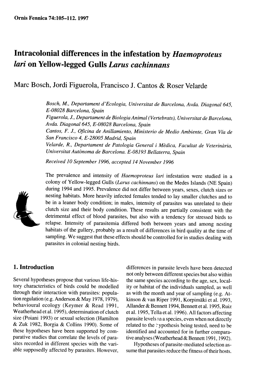 Intracolonial Differences in the Infestation by Haemoproteus Lari on Yellow-Legged Gulls Larus Cachinnans