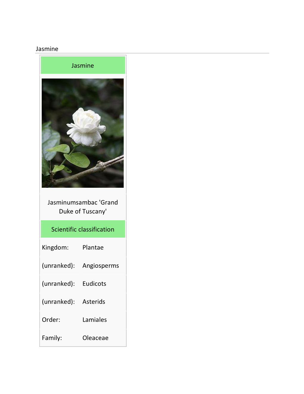 Scientific Classification Kingdom: Plantae