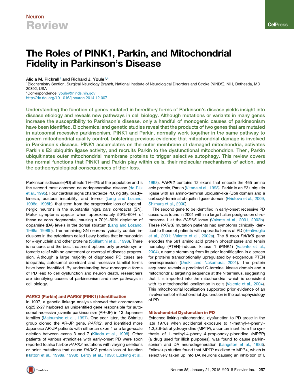 The Roles of PINK1, Parkin, and Mitochondrial Fidelity in Parkinson's