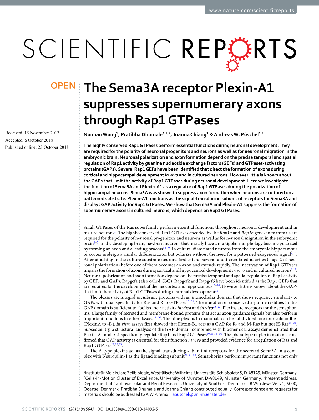 The Sema3a Receptor Plexin-A1 Suppresses Supernumerary Axons Through Rap1 Gtpases
