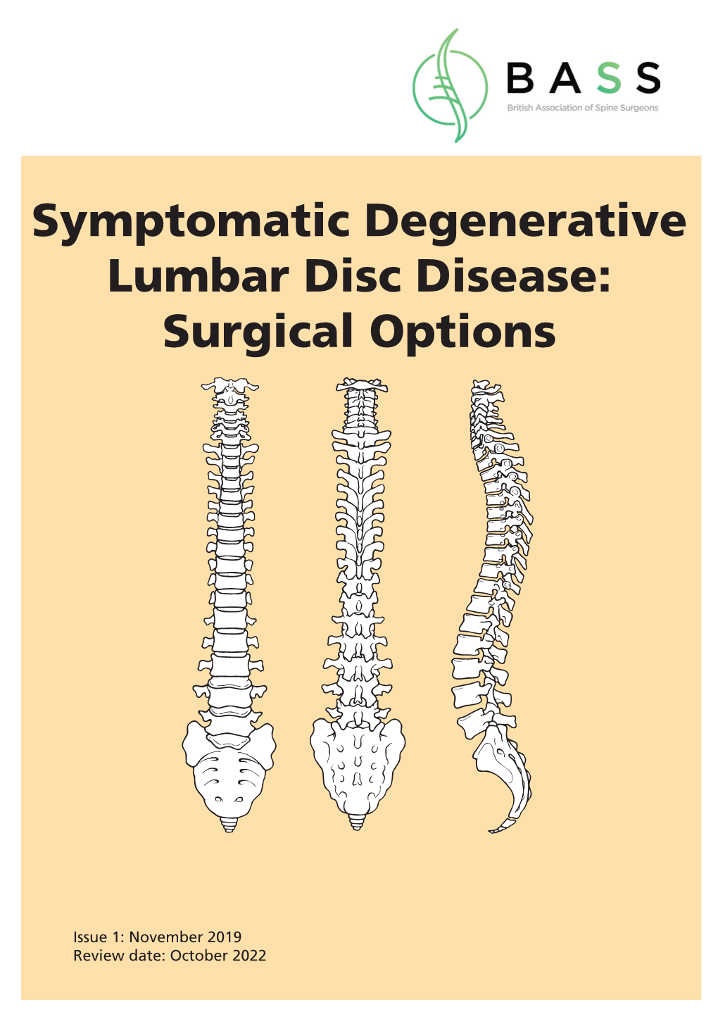 Symptomatic Degenerative Lumbar Disc Disease: Surgical Options