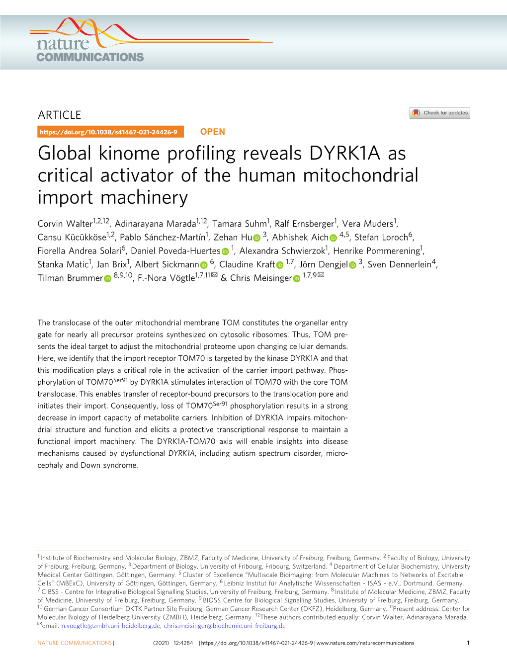 Global Kinome Profiling Reveals DYRK1A As Critical Activator of The