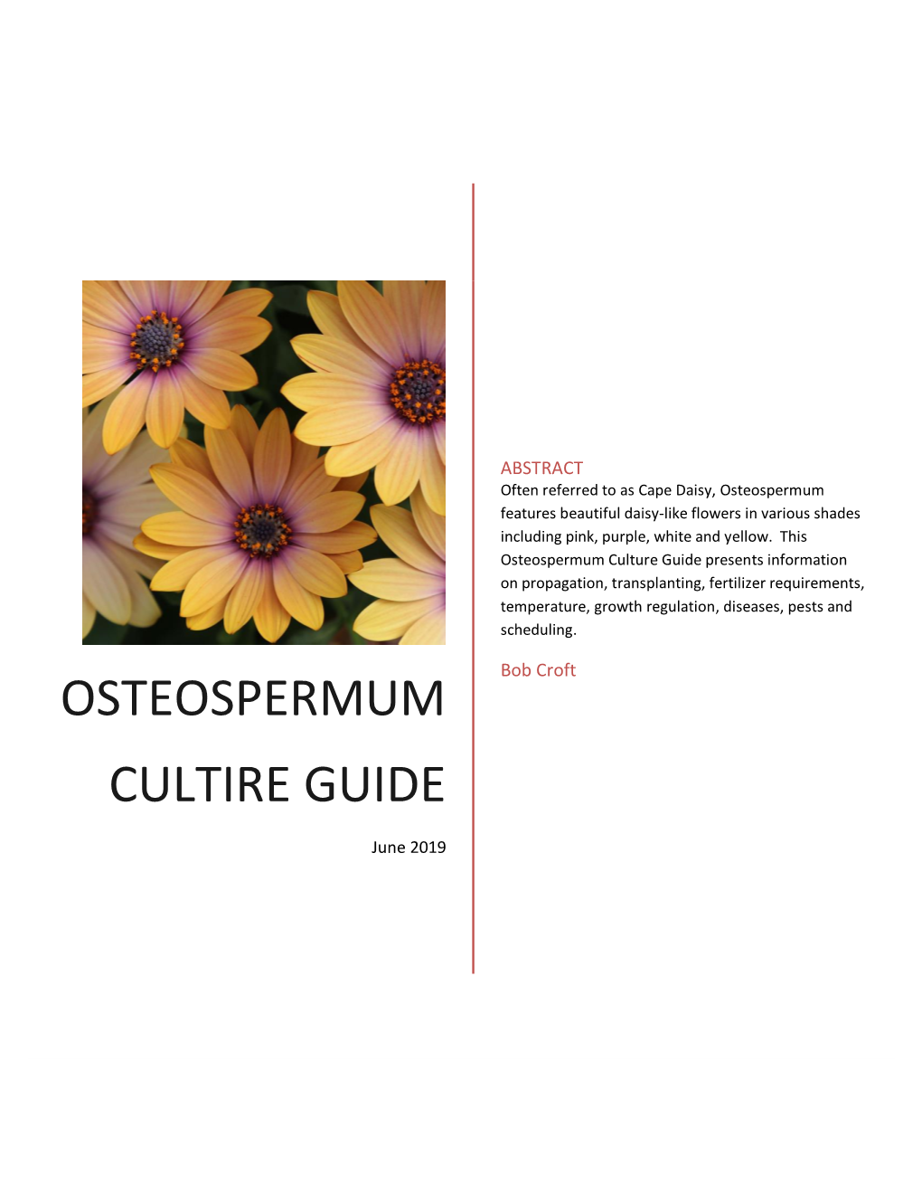 Osteospermum Cultire Guide