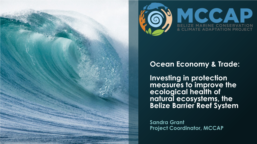 Investing in Protection Measures to Improve the Ecological Health of Natural Ecosystems, Such As the Belize Barrier Reef System