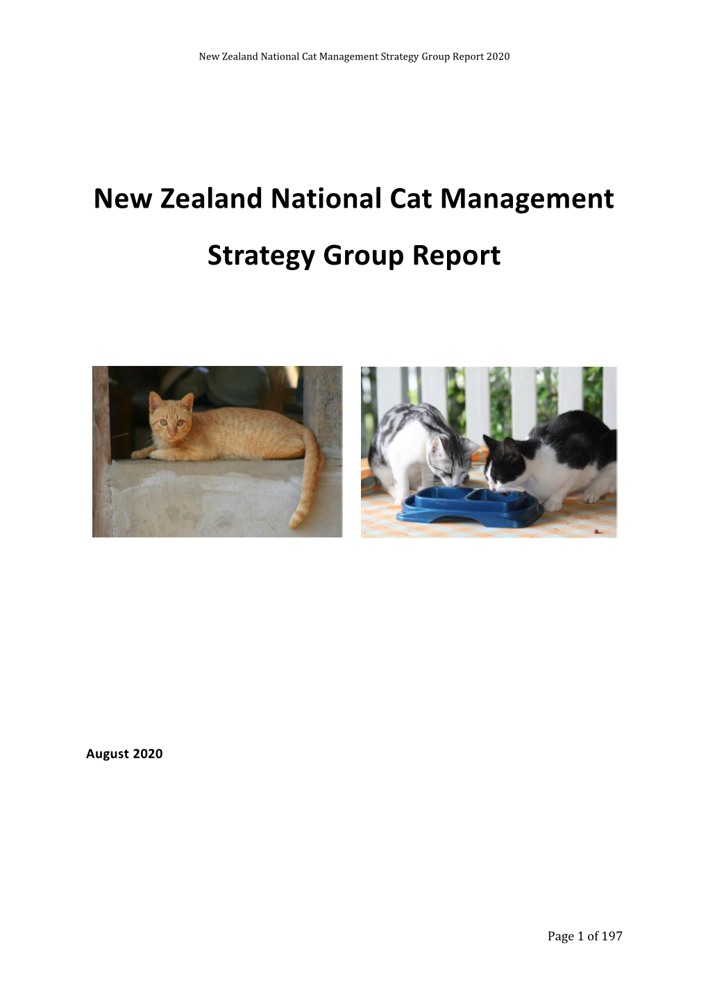 National Cat Management Strategy Group (Ncmsg) Report 2020