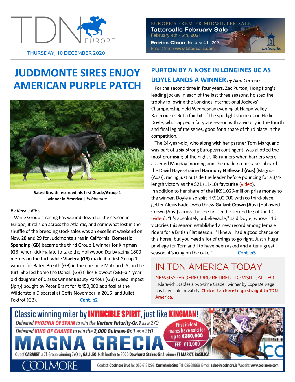 Juddmonte Sires Enjoy American Purple Patch Cont