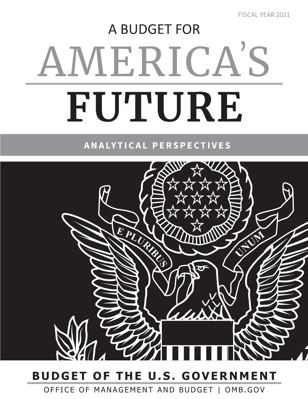 A Budget for America’S Future Analytical Perspectives