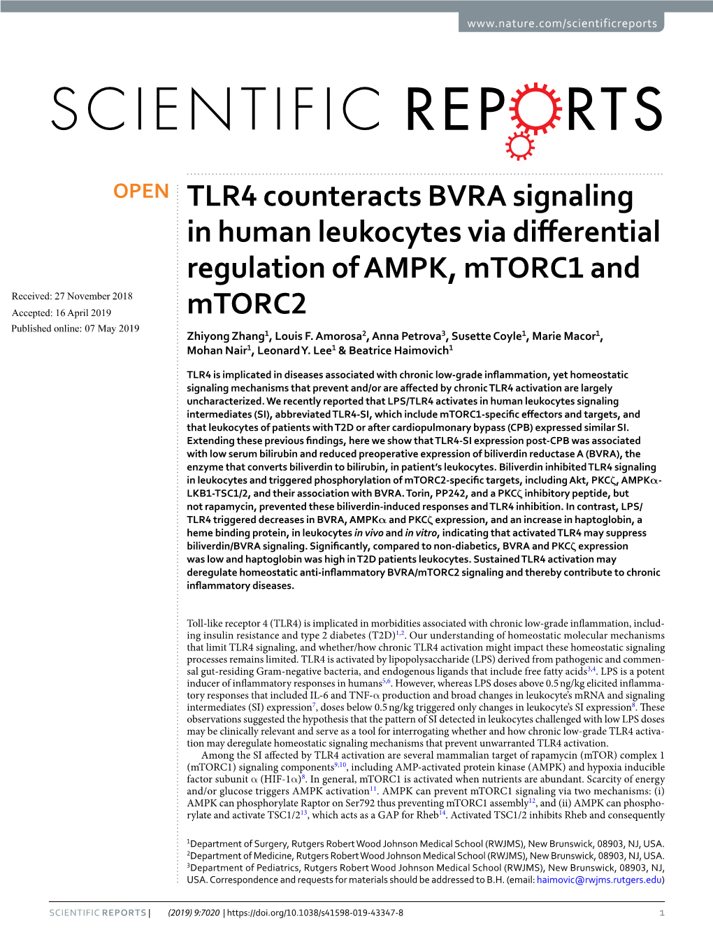 TLR4 Counteracts BVRA Signaling in Human Leukocytes Via Differential