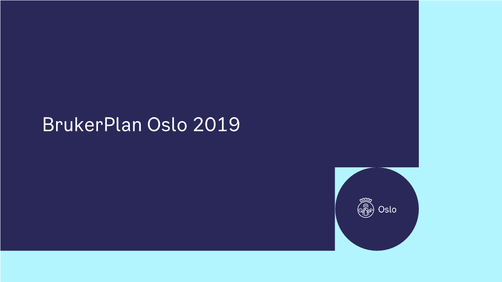 Brukerplan Oslo 2019