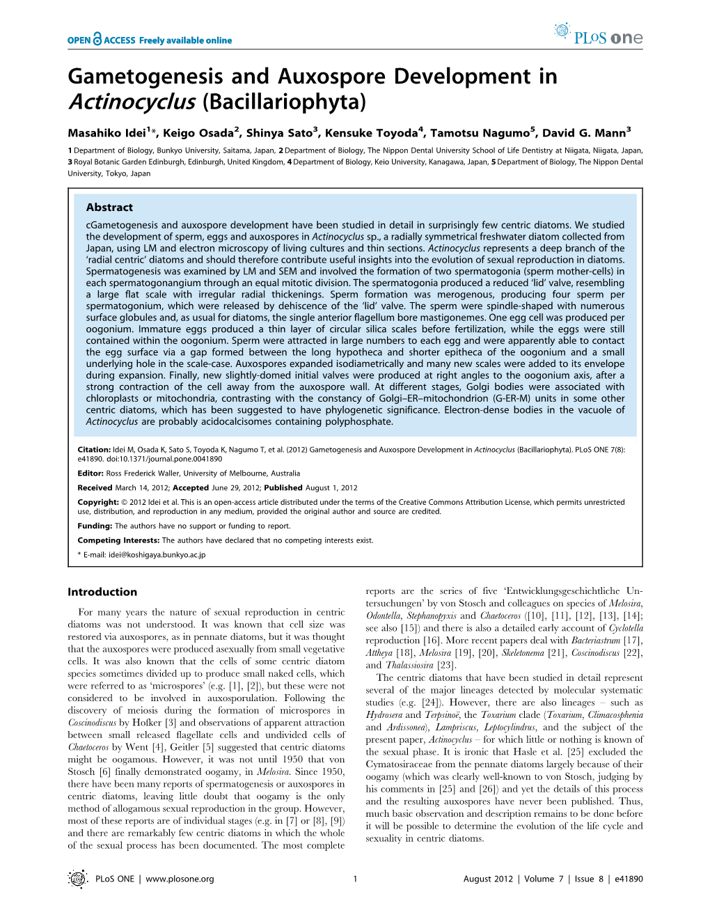 Gametogenesis and Auxospore Development in Actinocyclus (Bacillariophyta)