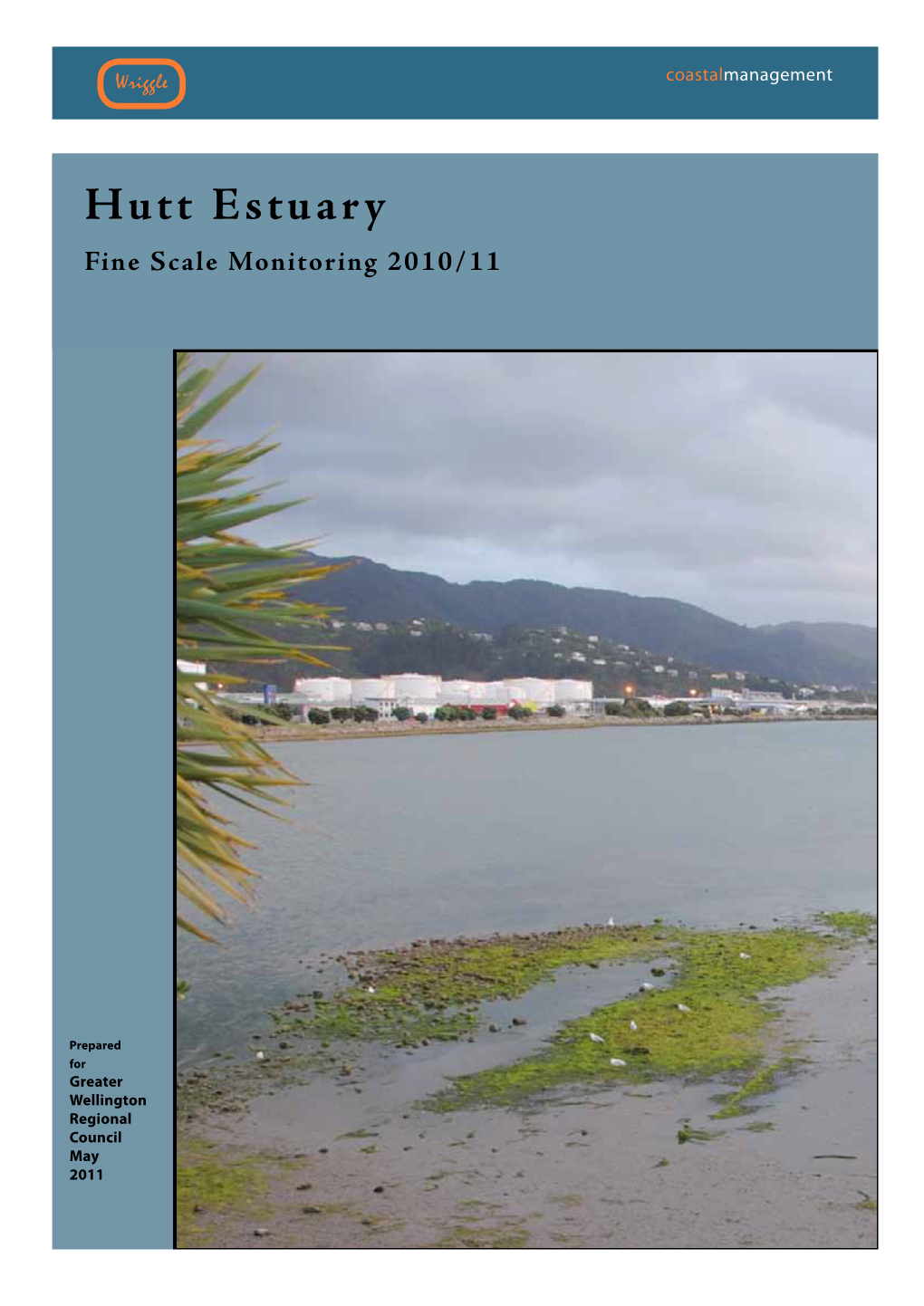 Hutt Estuary Fine Scale Monitoring 2010/11