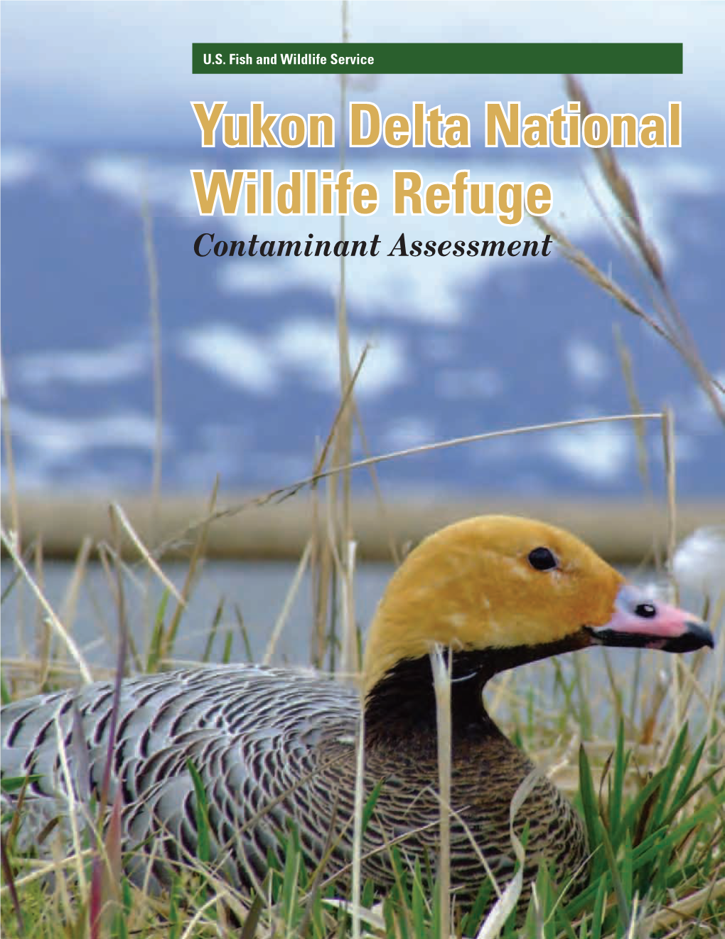 Yukon Delta National Wildlife Refuge Contaminant Assessment