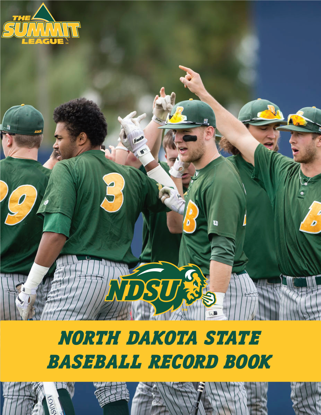 NDSU BSB Record Book 2019.Pdf