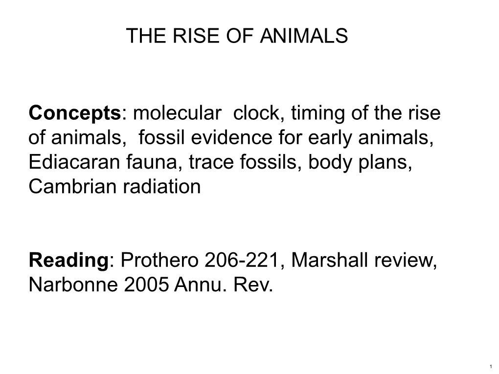 Geobiology, Lecture Notes 14