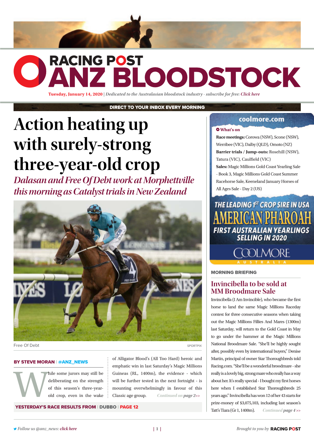 Action Heating up with Surely-Strong Three-Year-Old Crop | 3 | Tuesday, January 14, 2020