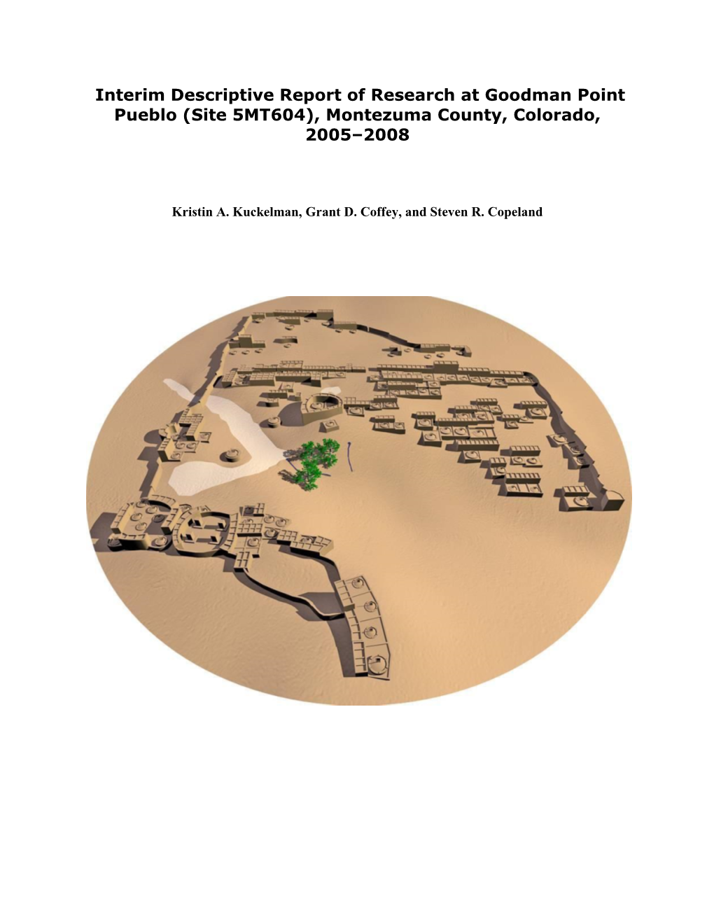 Interim Descriptive Report of Research at Goodman Point Pueblo (Site 5MT604), Montezuma County, Colorado, 2005–2008