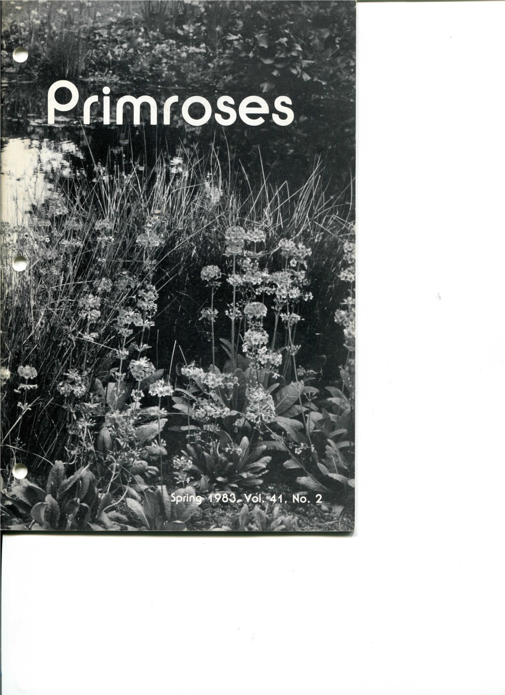 Of Bogs and Primulas 14 Interest and Enthusiasm to Other Gardeners
