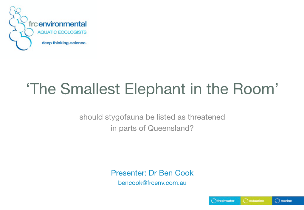 'The Smallest Elephant in the Room'