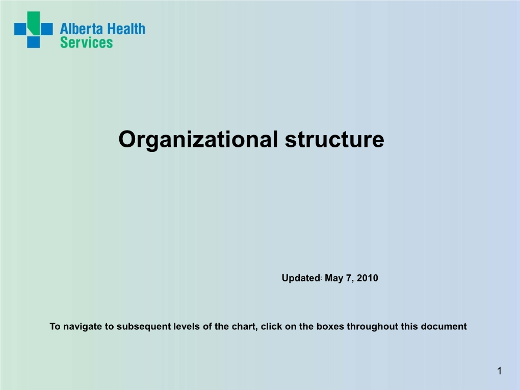 Organizational Structure (VP Level)