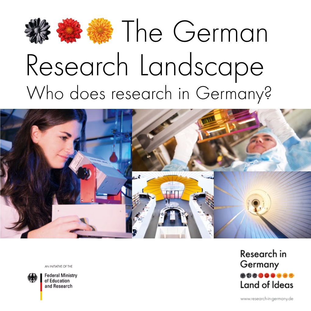 The German Research Landscape