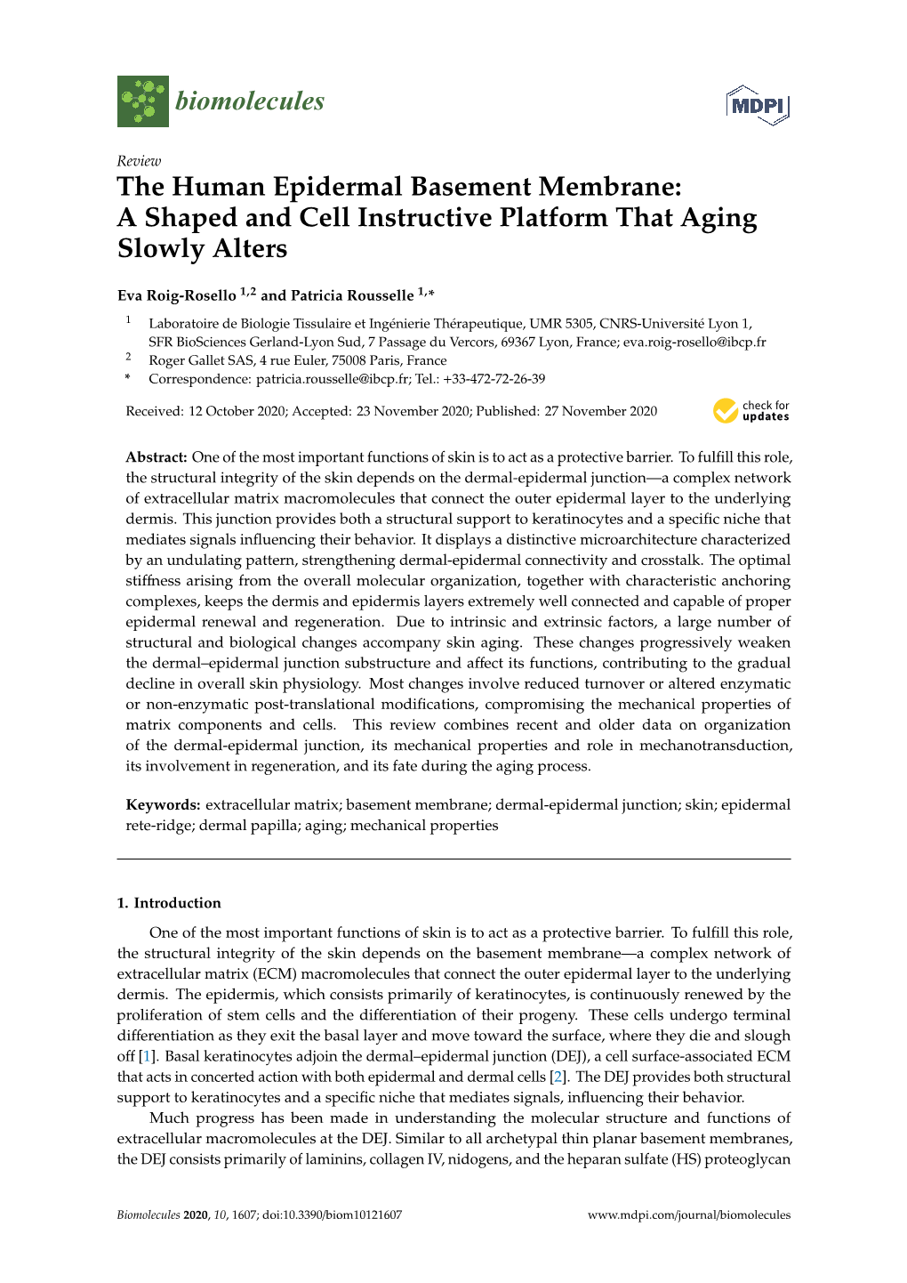 The Human Epidermal Basement Membrane: a Shaped and Cell Instructive Platform That Aging Slowly Alters