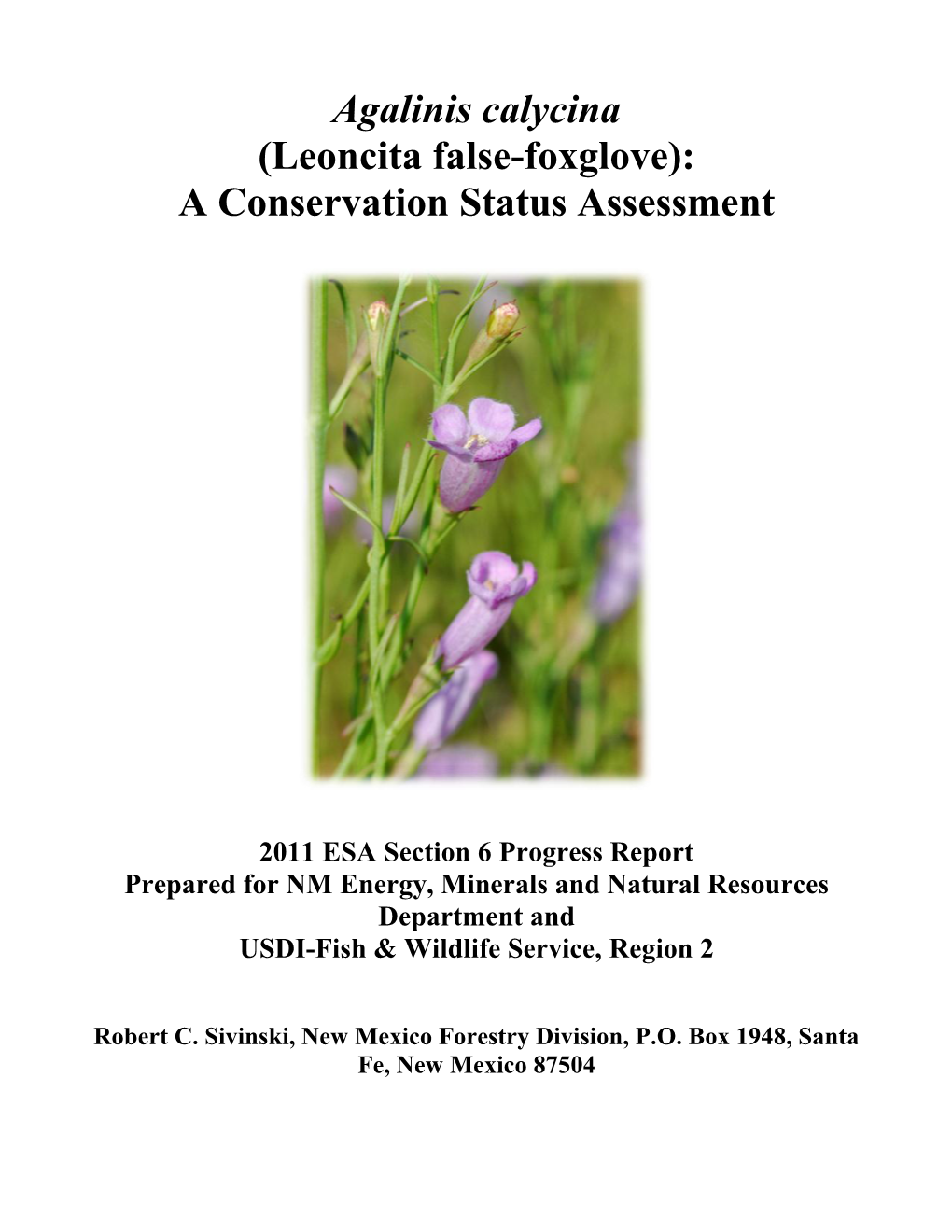Agalinis Calycina (Leoncita False-Foxglove): a Conservation Status Assessment