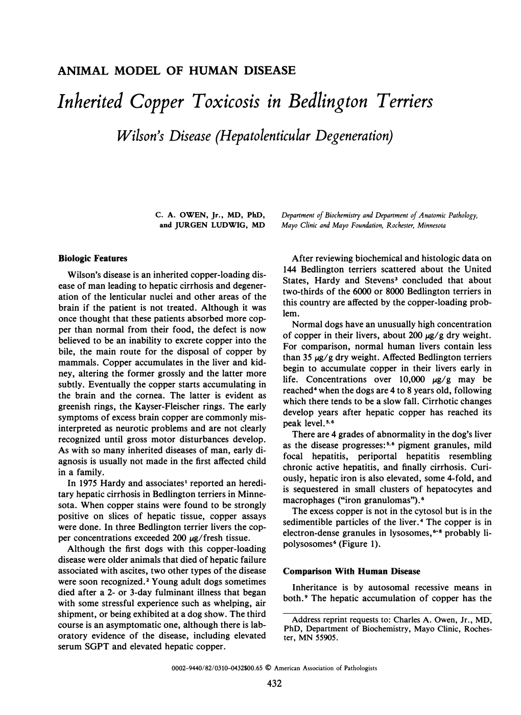 Inherited Copper Toxicosis in Bedlington Terriers Wilson's Disease (Hepatolenticular Degeneration)