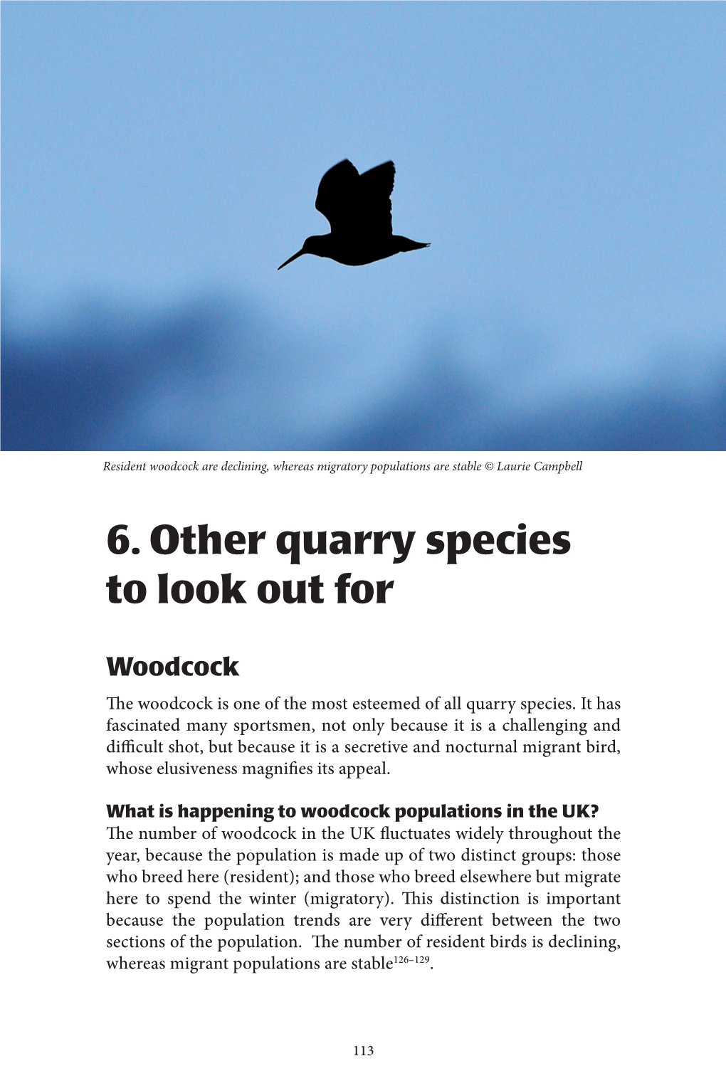 Wildfowl This Chapter Refers to the Types of Wildfowl Shooting a Gun Might Encounter on a Driven Or Inland Rough Shooting Day and Related Habitat Management