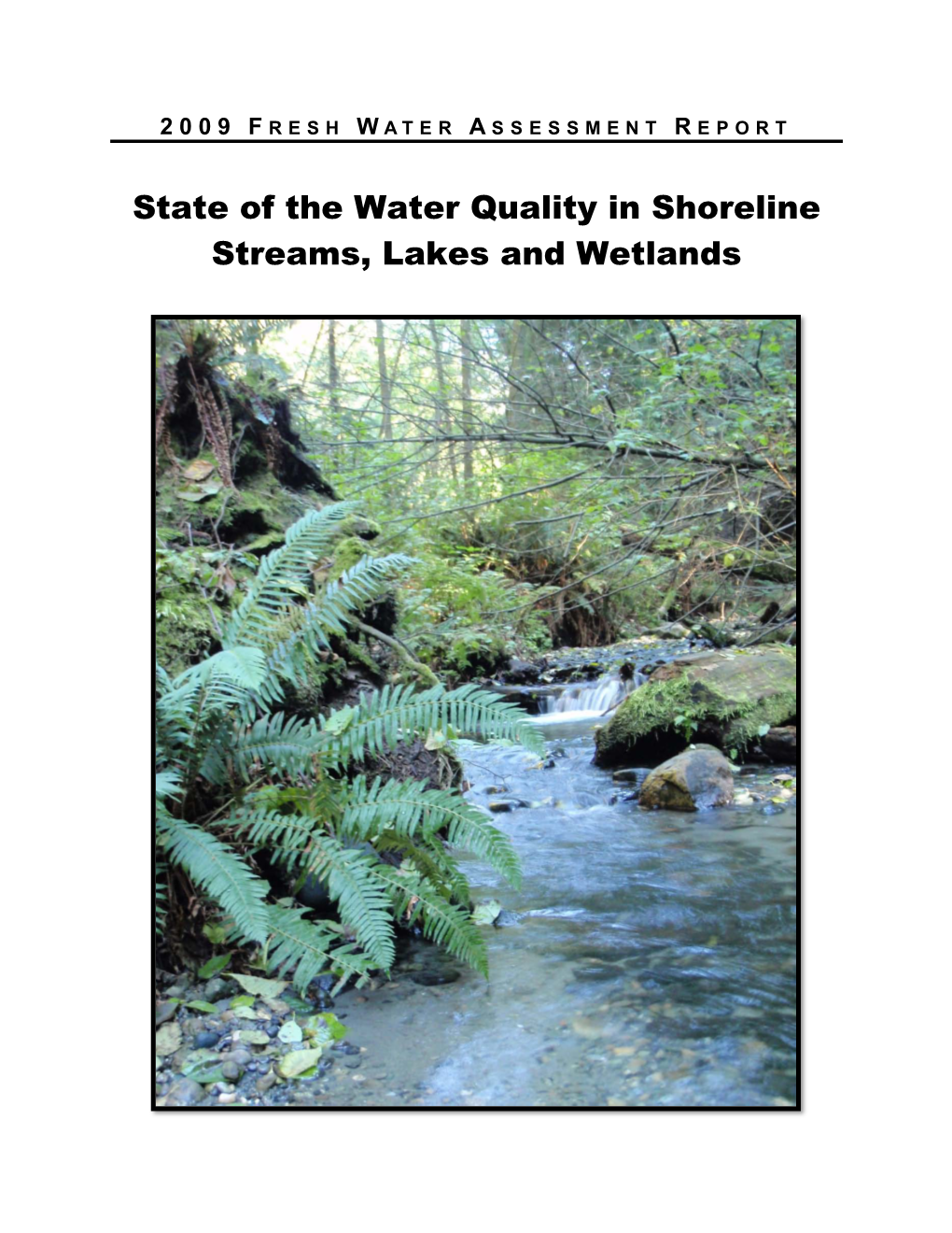 State of the Water Quality in Shoreline Streams, Lakes and Wetlands