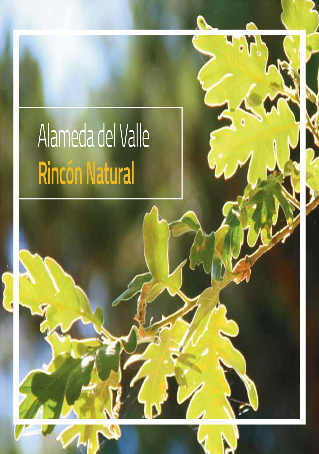 Alameda Del Valle Rincón Natural Historia Naturaleza Tradición Rincones Singulares Alameda Del Valle