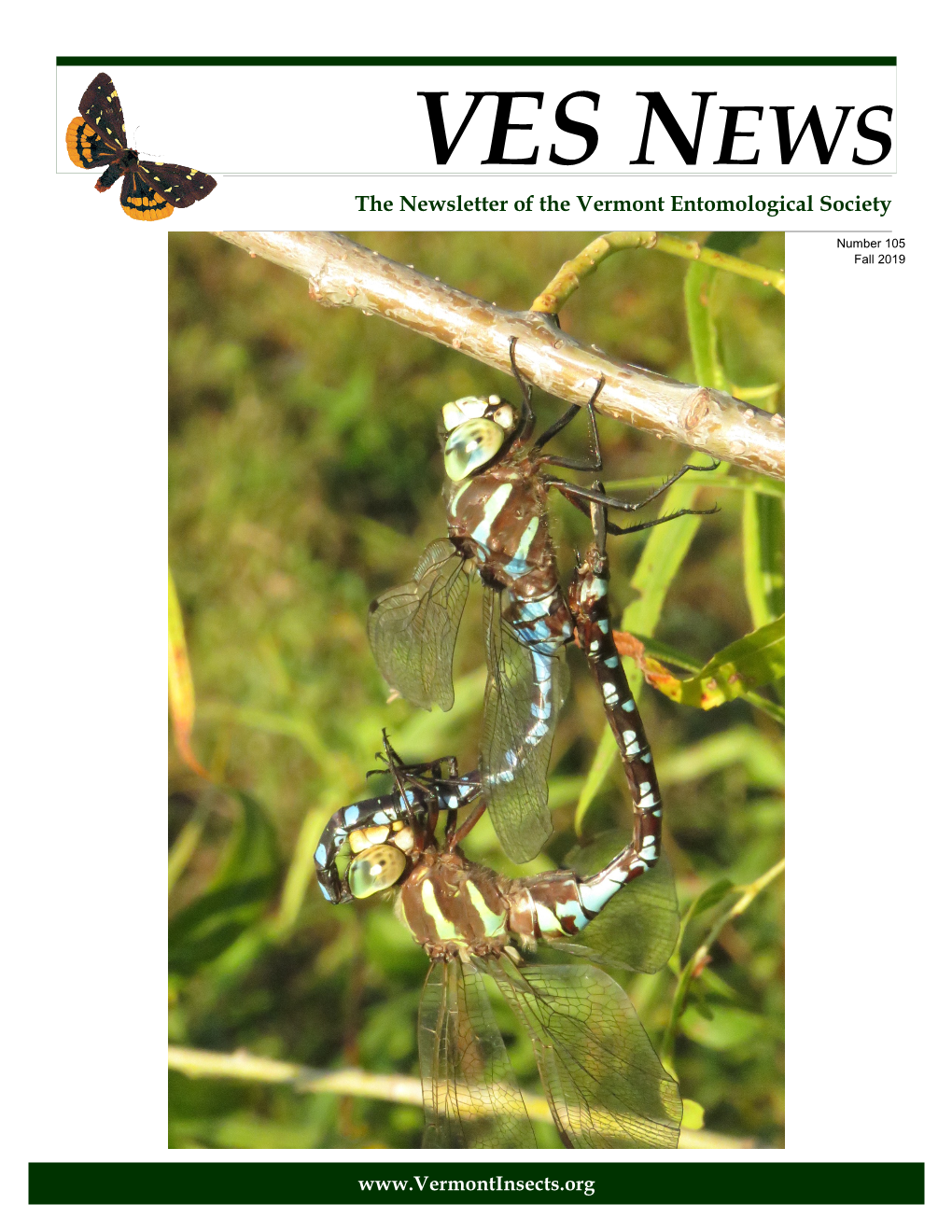VES NEWS the Newsletter of the Vermont Entomological Society