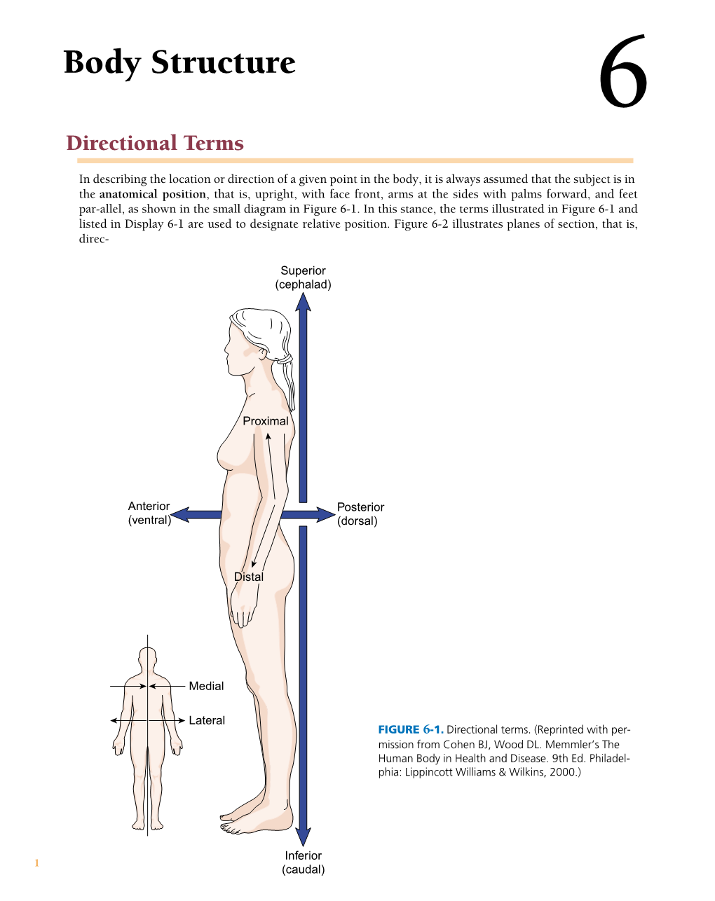 Body Structure 6 Directional Terms