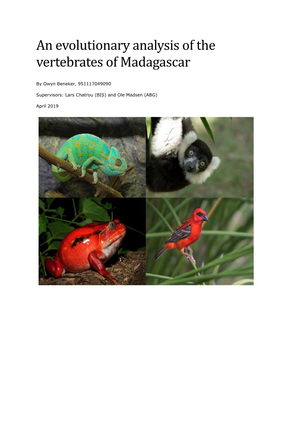 An Evolutionary Analysis of the Vertebrates of Madagascar