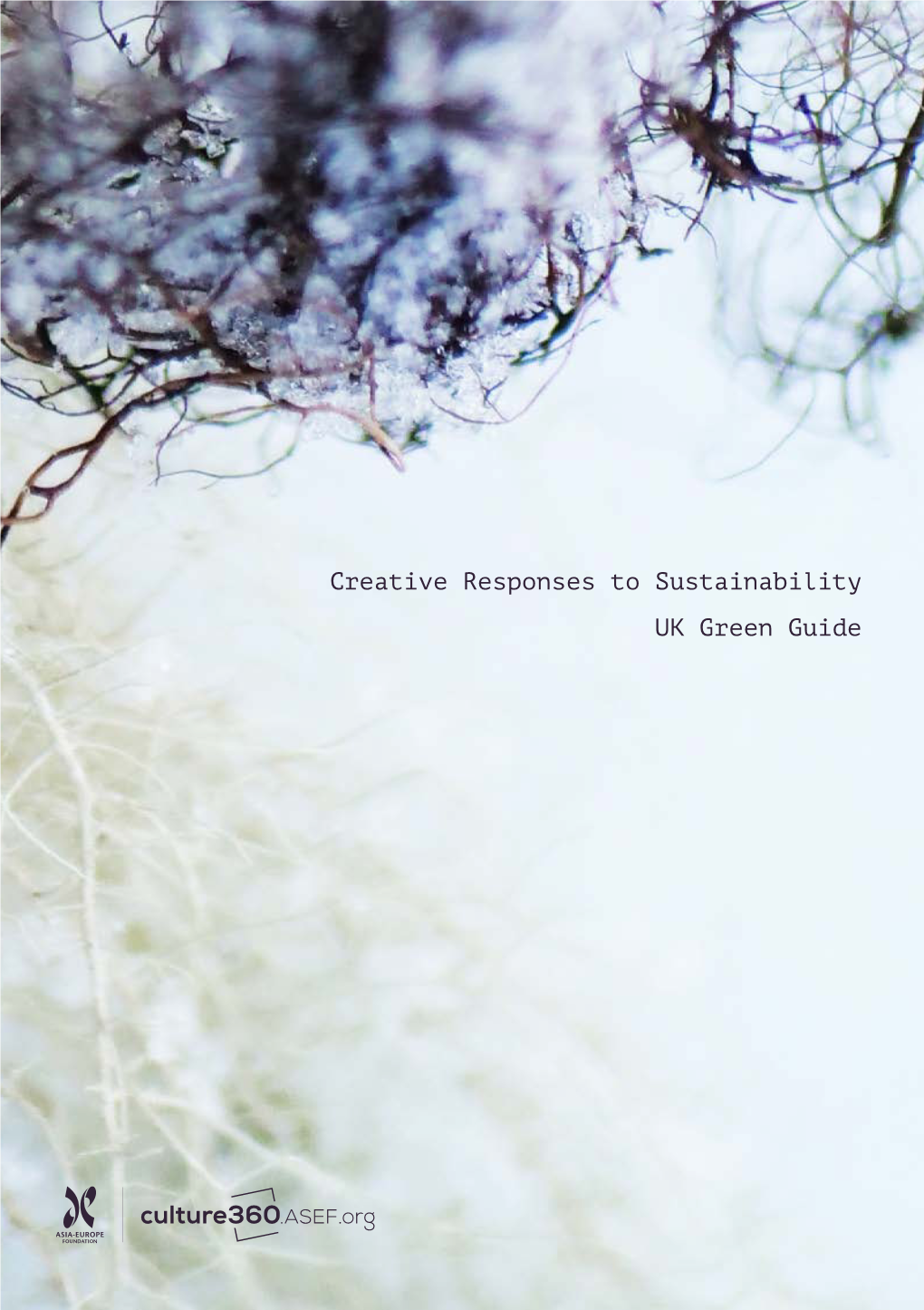 Green Guide for the United Kingdom, the 8Th in the Series Creative Creative Responses to Sustainability Builds on Responses to Sustainability