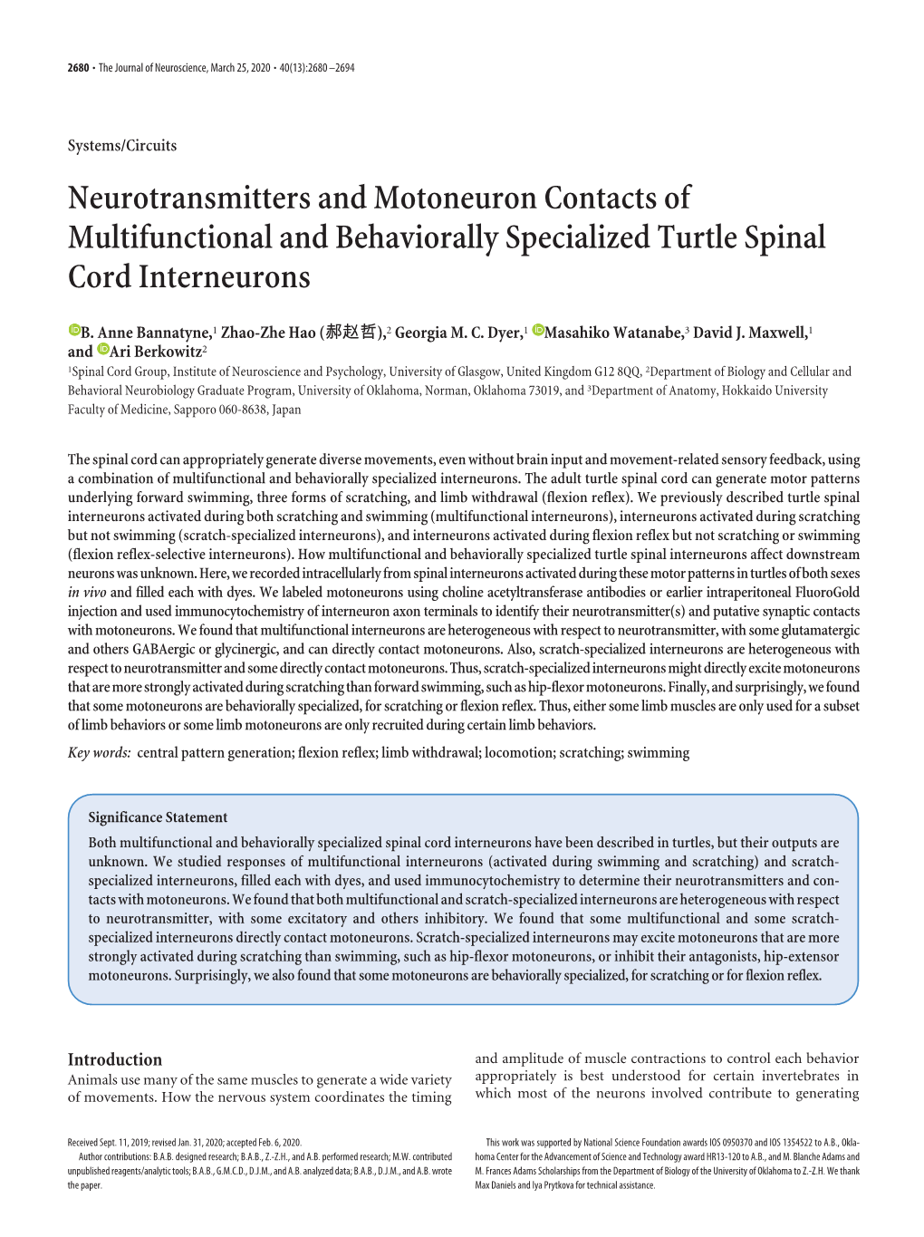 Neurotransmitters and Motoneuron Contacts of Multifunctional and Behaviorally Specialized Turtle Spinal Cord Interneurons