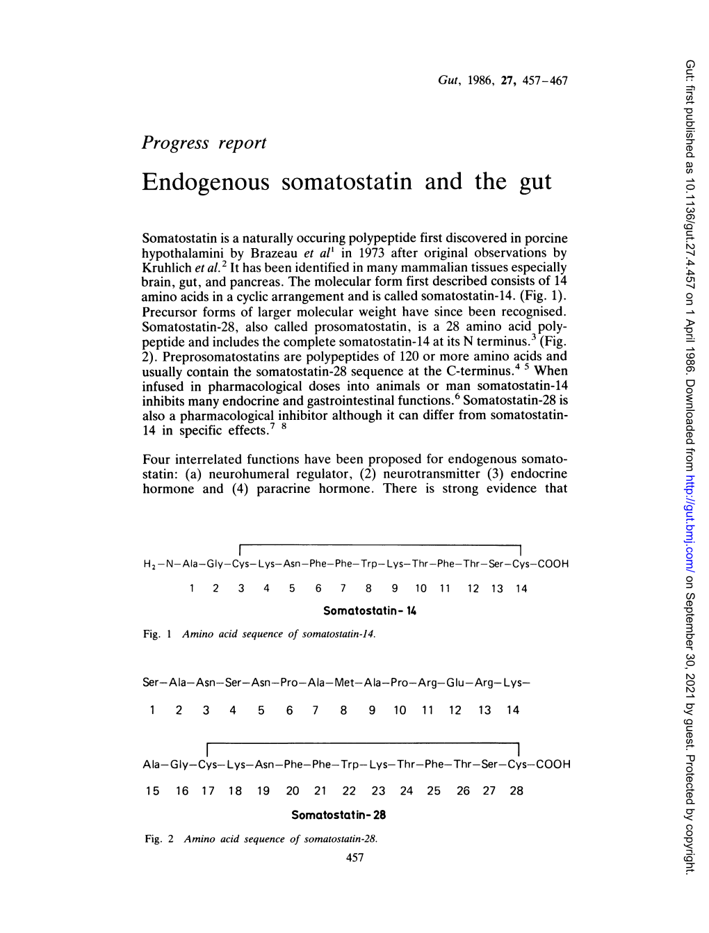 Endogenous Somatostatin and the Gut