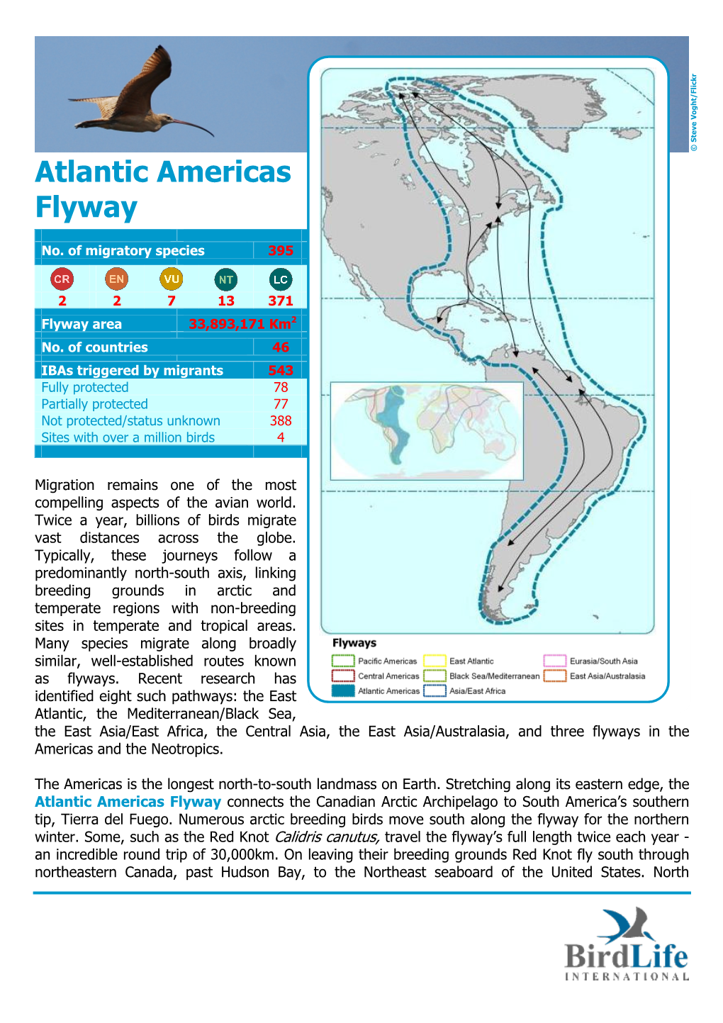Atlantic Americas Flyway