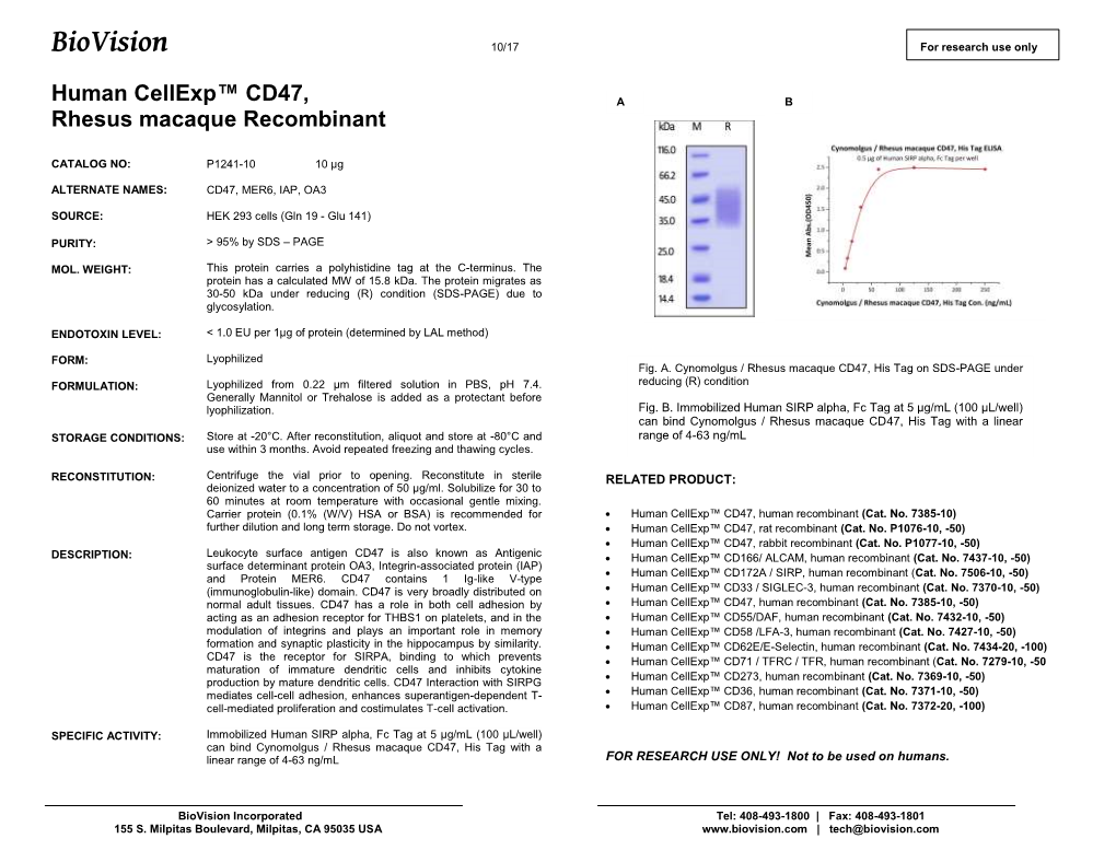 P1241-Human Cellexp™ CD47 Cyno Rec