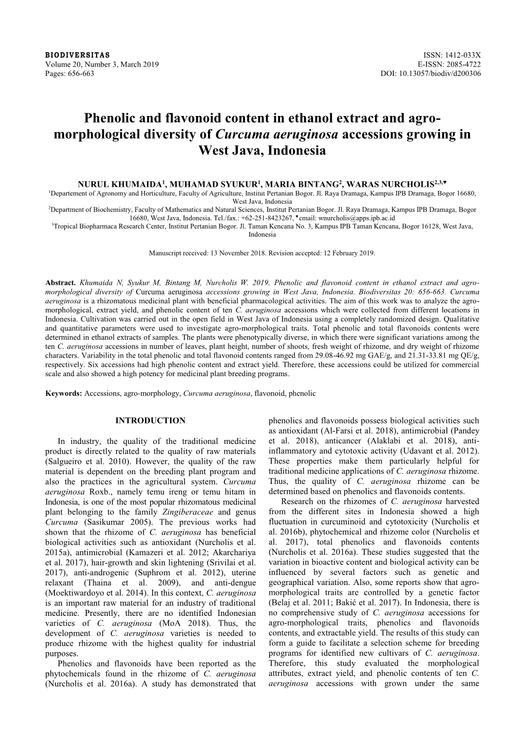 Phenolic and Flavonoid Content in Ethanol Extract and Agro- Morphological Diversity of Curcuma Aeruginosa Accessions Growing in West Java, Indonesia