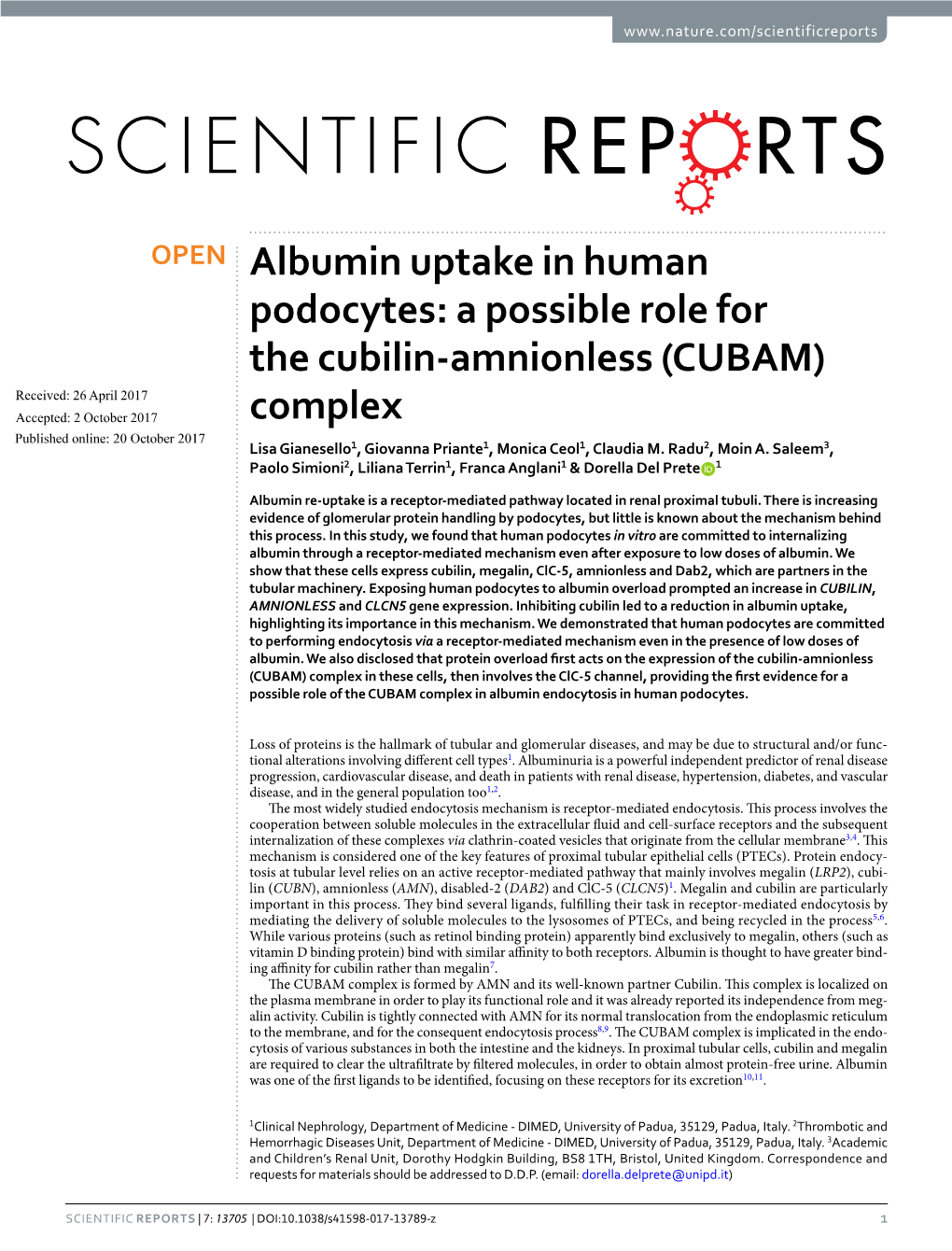 Albumin Uptake in Human Podocytes: a Possible Role for the Cubilin