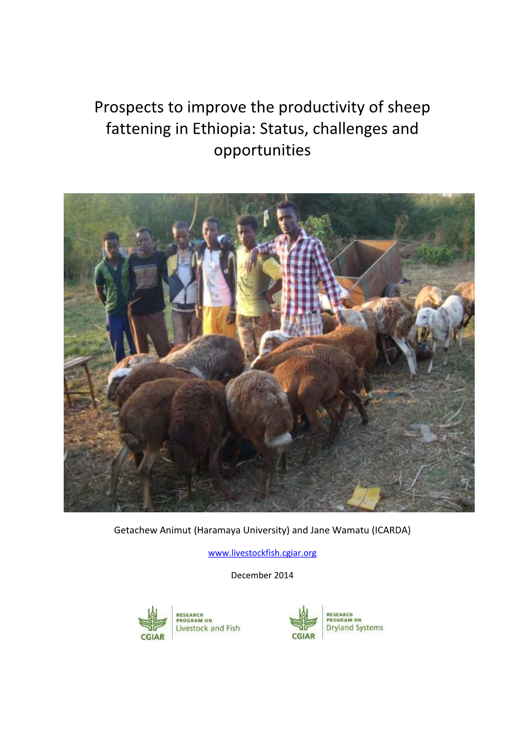 Prospects to Improve the Productivity of Sheep Fattening in Ethiopia: Status, Challenges and Opportunities