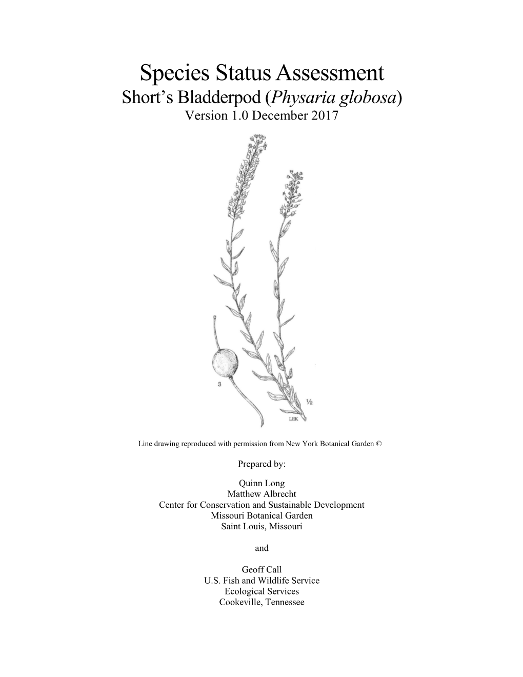 Species Status Assessment Short’S Bladderpod (Physaria Globosa) Version 1.0 December 2017