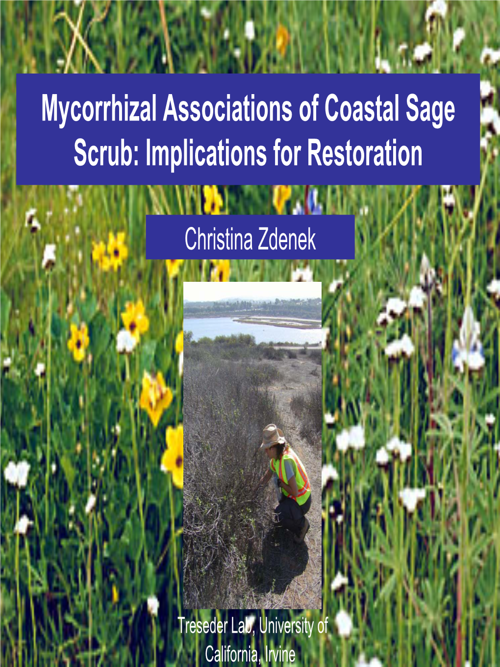 Mycorrhizal Associations of Coastal Sage Scrub: Implications for Restoration