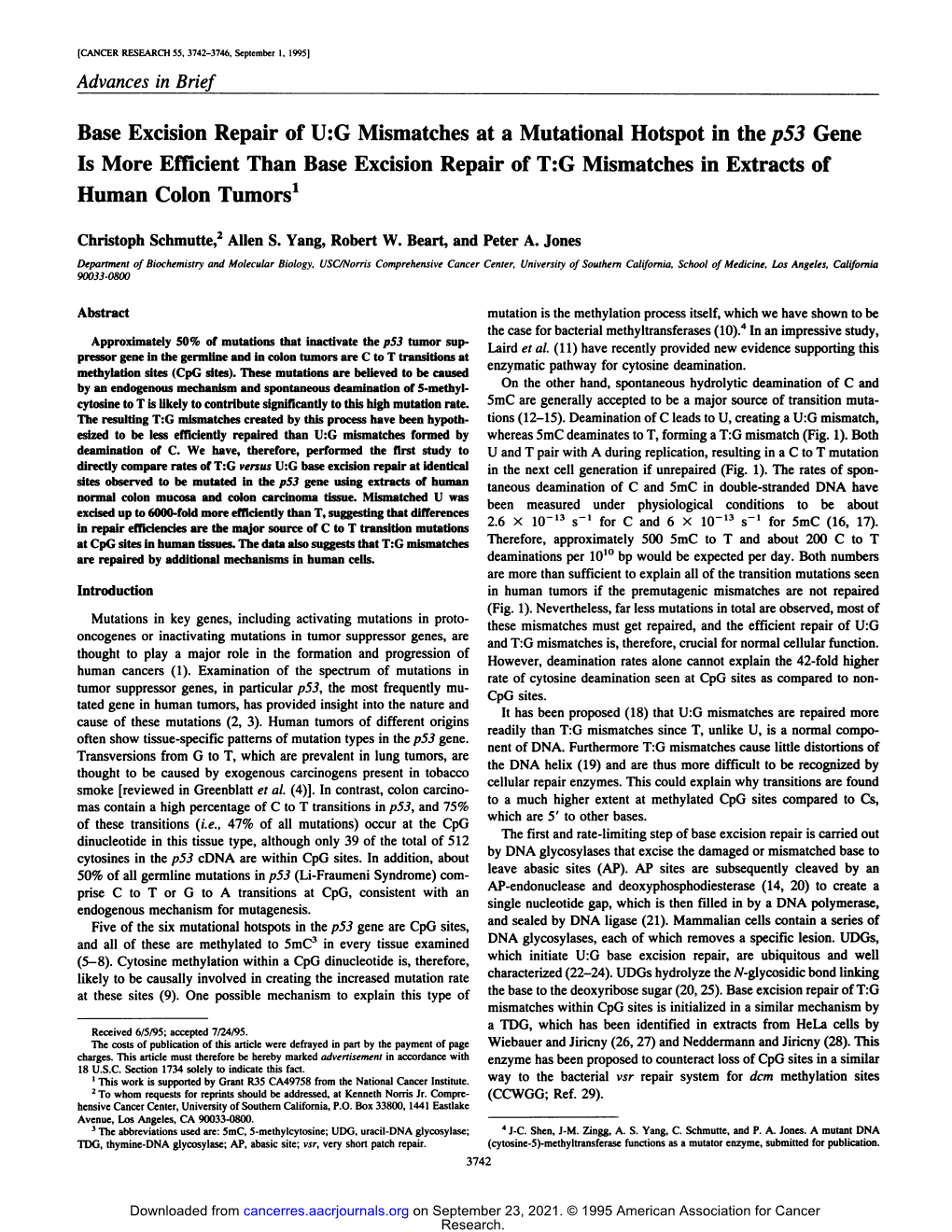 Base Excision Repair of U:G Mismatches at a Mutational Hotspot