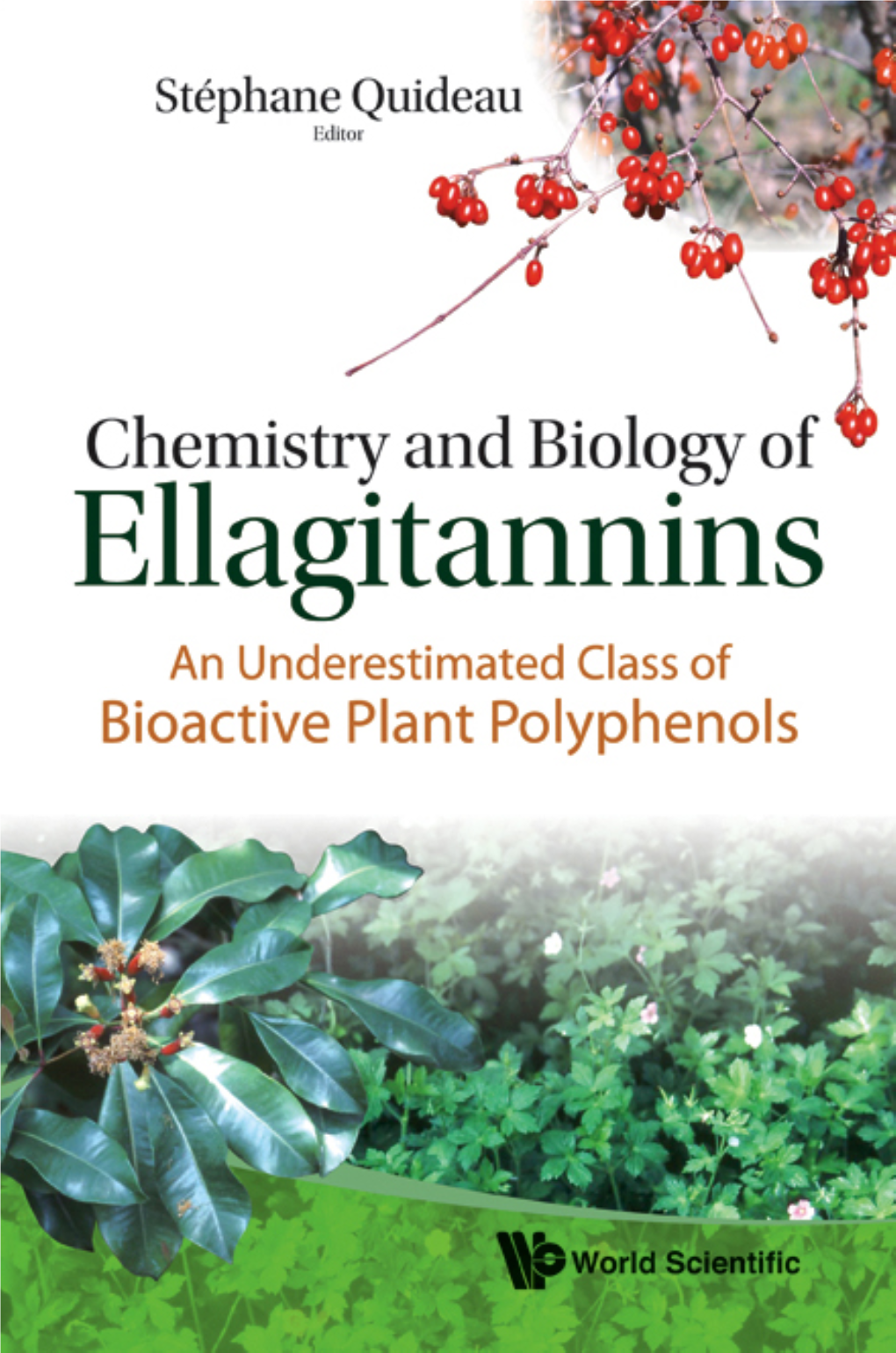 Chemistry and Biology of Ellagitannins an Underestimated Class of Bioactive Plant Polyphenols