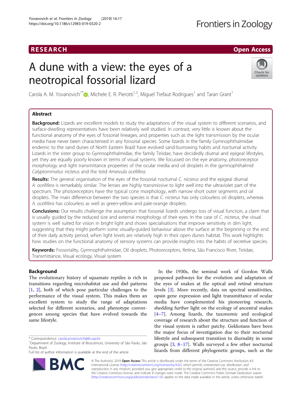 A Dune with a View: the Eyes of a Neotropical Fossorial Lizard Carola A