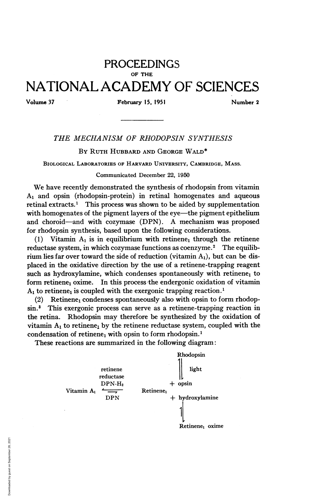 THE MECHANISM of RHODOPSIN SYNTHESIS by RUTH HUBBARD and GEORGE WALD* BIOLOGICAL LABORATORIES of HARVARD UNIVERSITY, CAMBRIDGE, MASS